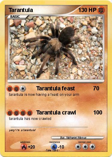 Pokemon Tarantula