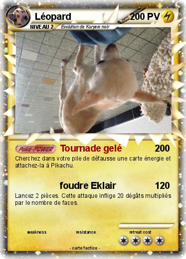Pokemon Léopard