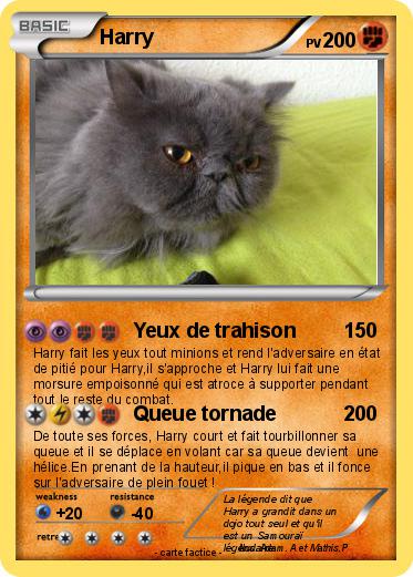 Pokemon Harry