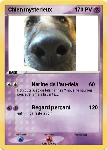 Pokemon Chien mysterieux