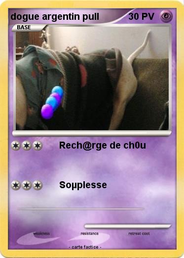 Pokemon dogue argentin pull