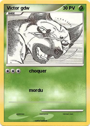 Pokemon Victor gdw