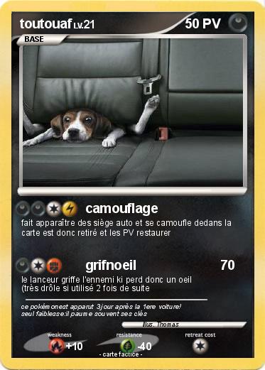 Pokemon toutouaf
