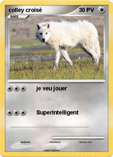 Pokemon colley croisé