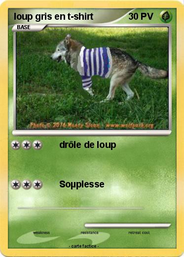 Pokemon loup gris en t-shirt