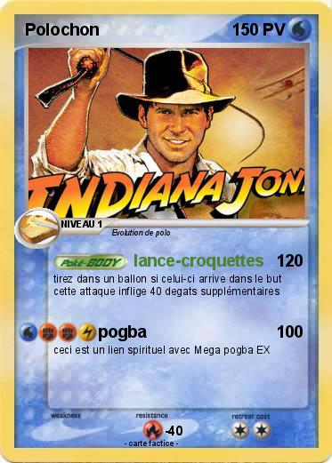 Pokemon Polochon