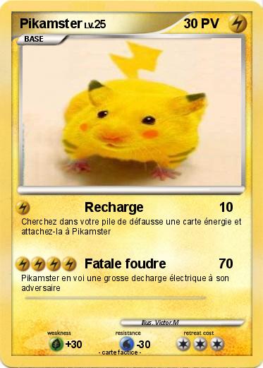 Pokemon Pikamster