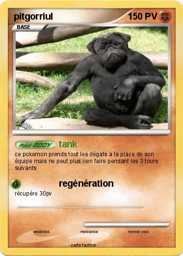Pokemon pitgorriul