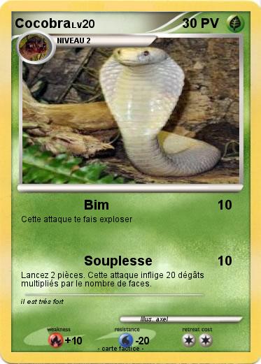 Pokemon Cocobra