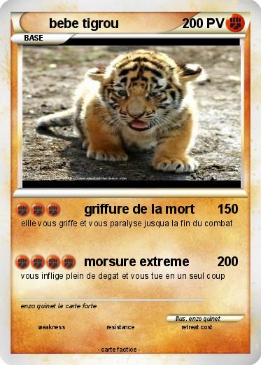 Pokemon bebe tigrou