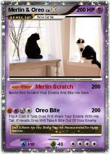 Pokemon Merlin & Oreo
