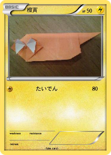 Pokemon 橙寅