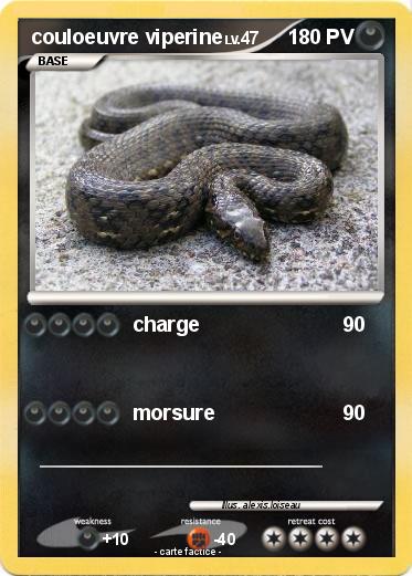 Pokemon couloeuvre viperine