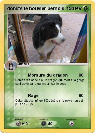 Pokemon donuts le bouvier bernois