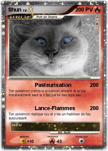 Pokemon Shun