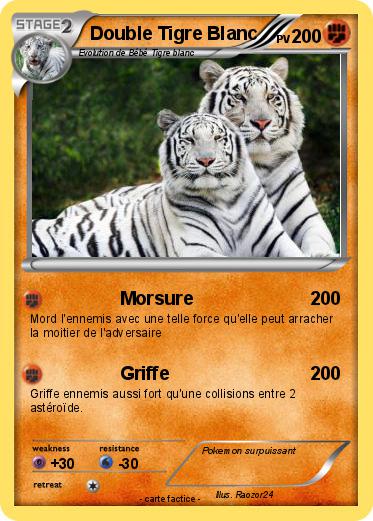Pokemon Double Tigre Blanc