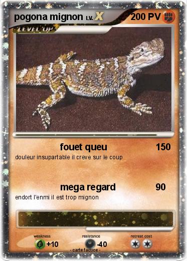 Pokemon pogona mignon
