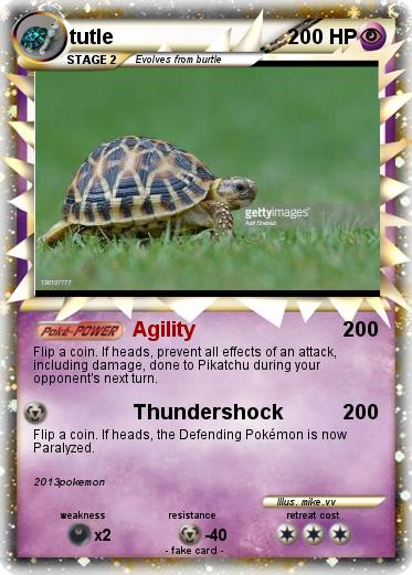 Pokemon tutle