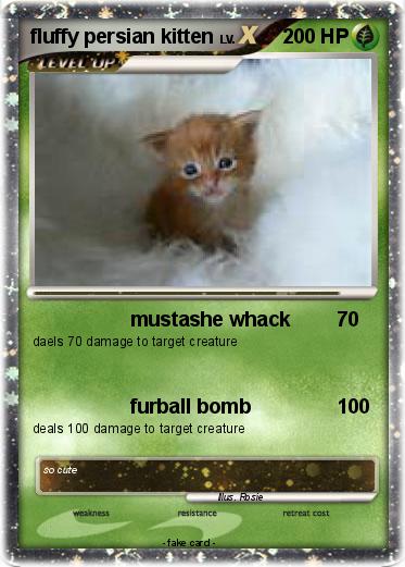 Pokemon fluffy persian kitten