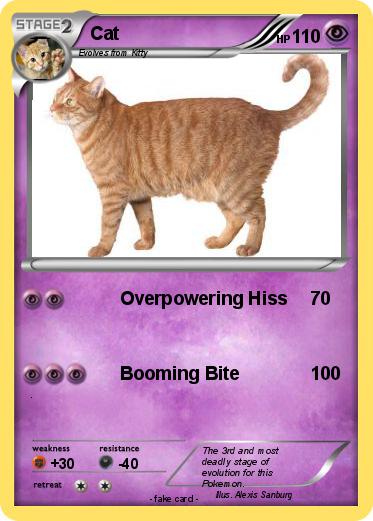 Pokemon Cat