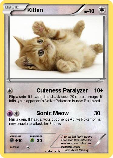 Pokemon Kitten