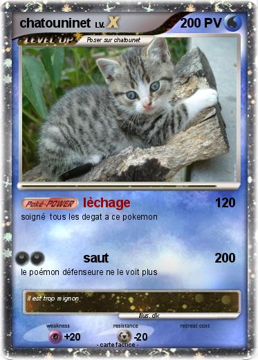 Pokemon chatouninet
