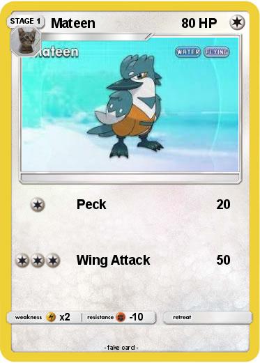 Pokemon Mateen