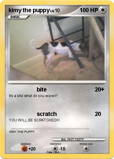 Pokemon kimy the puppy