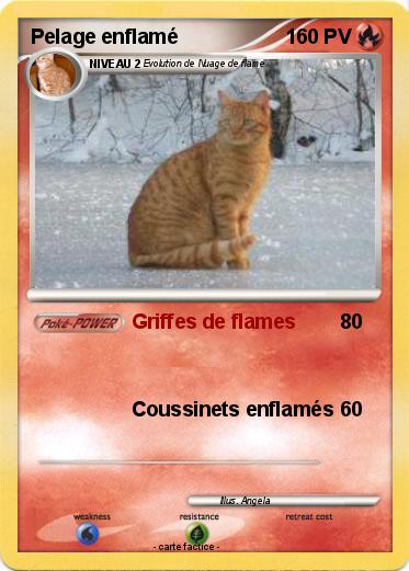 Pokemon Pelage enflamé