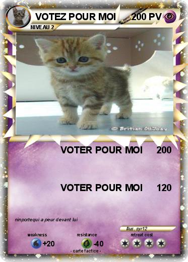 Pokemon VOTEZ POUR MOI