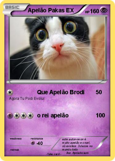 Pokemon Apelão Pakas EX