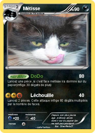 Pokemon Métisse