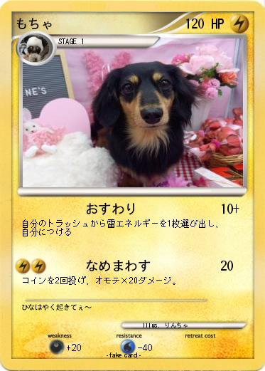 Pokemon もちゃ