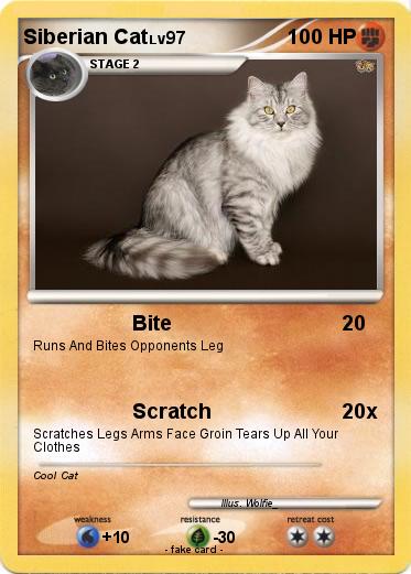 Pokemon Siberian Cat