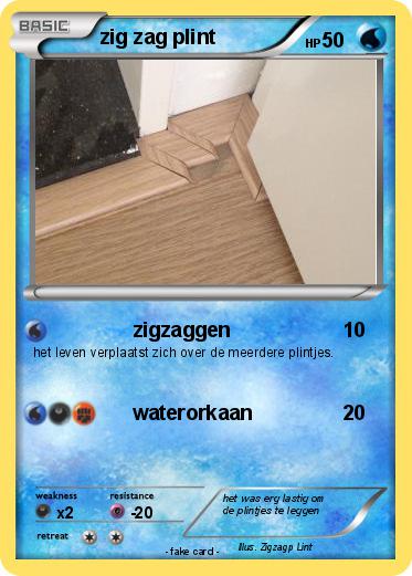 Pokemon zig zag plint