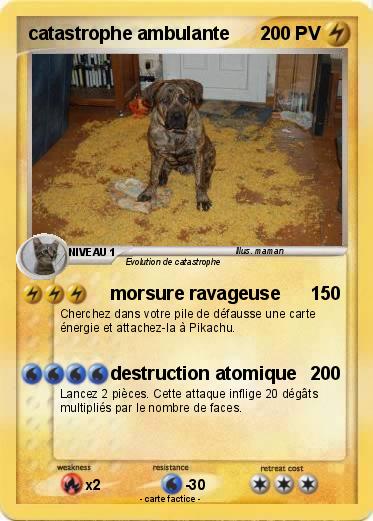 Pokemon catastrophe ambulante