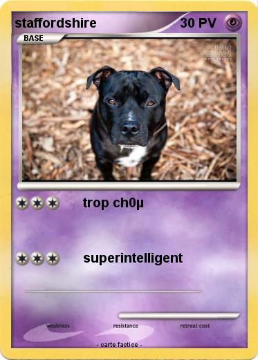 Pokemon staffordshire