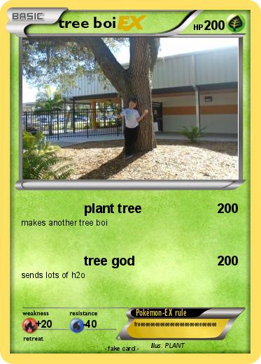 Pokemon tree boi
