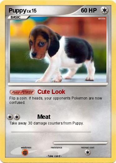 Pokemon Puppy