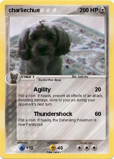Pokemon charliechue