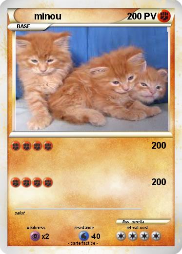 Pokemon minou