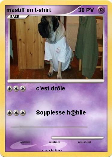 Pokemon mastiff en t-shirt