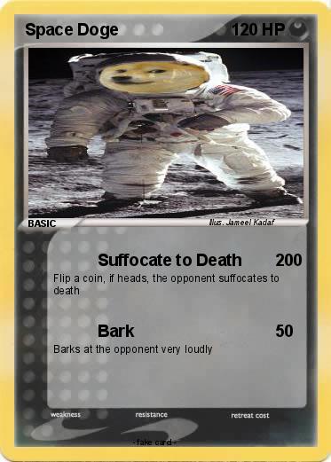 Pokemon Space Doge