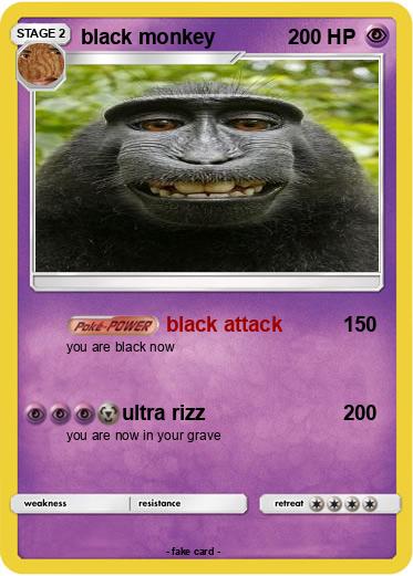 Pokemon black monkey