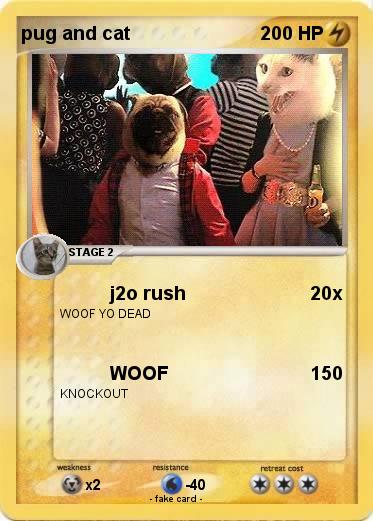 Pokemon pug and cat