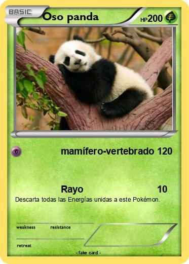 Pokemon Oso panda