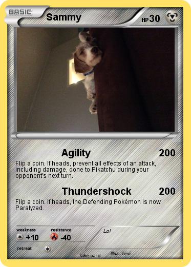 Pokemon Sammy