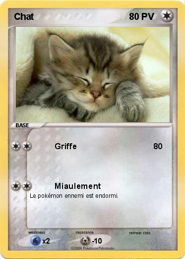 Pokemon Chat
