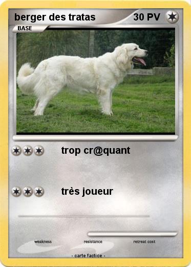 Pokemon berger des tratas