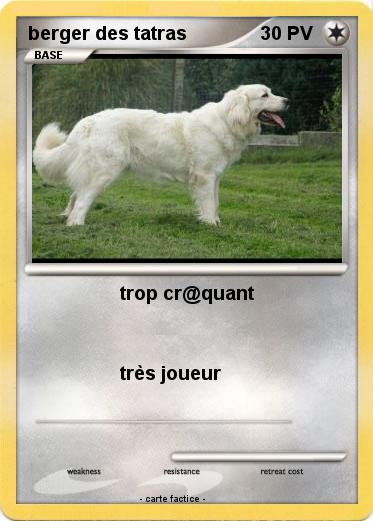 Pokemon berger des tatras